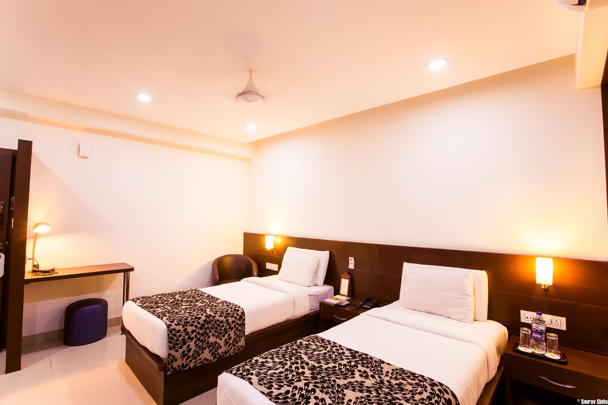 Hotel Papaya Tree Indore